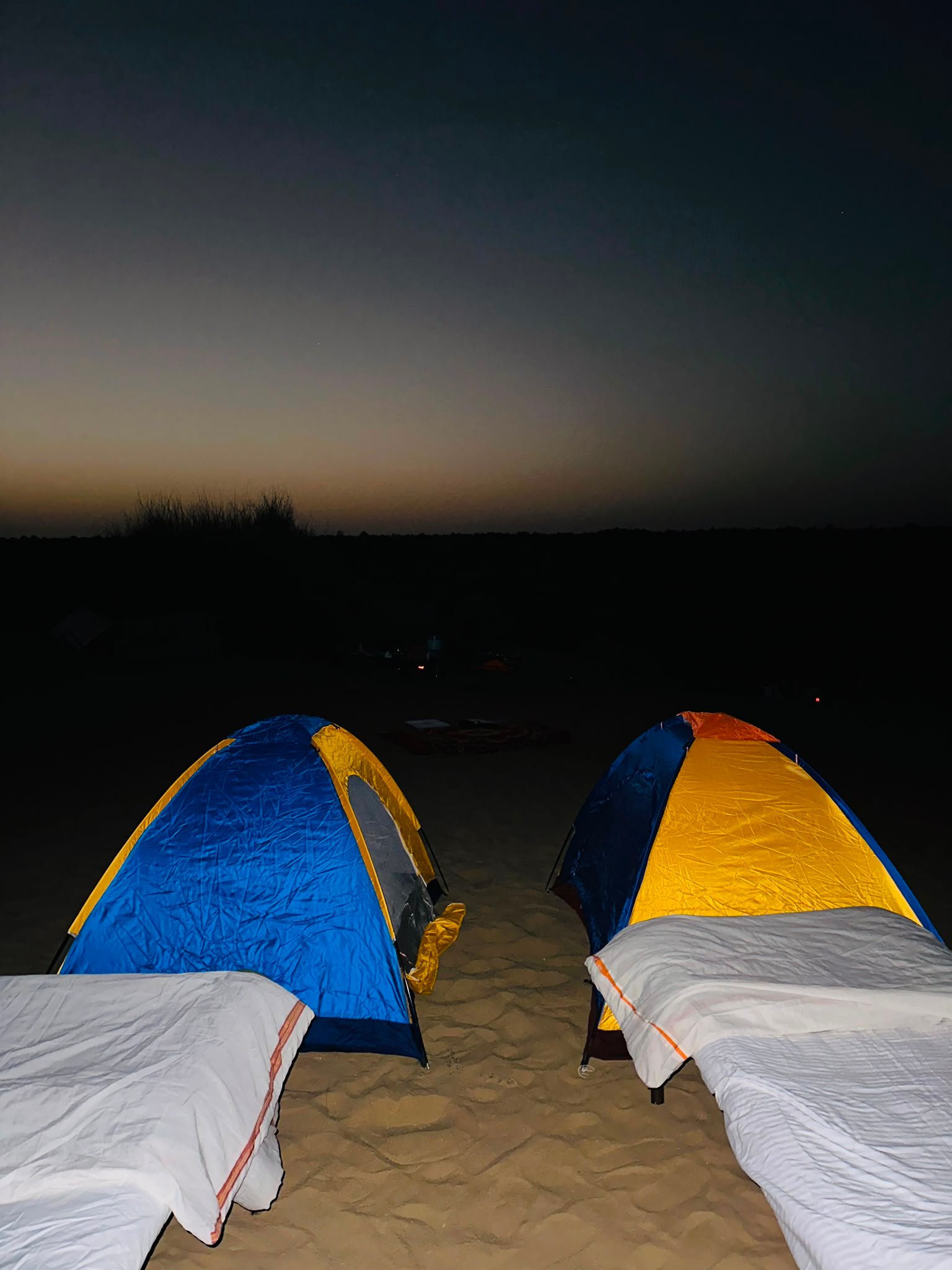 Thar Desert camel safari at sunset